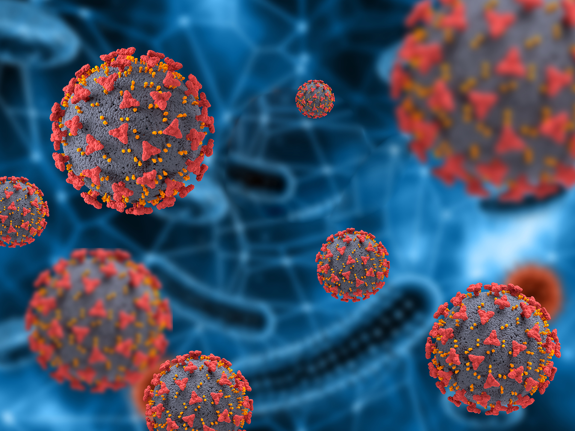 Evolução do vírus da Covid-19 pode ter sido potenciada pelo comportamento humano, indicam cientistas