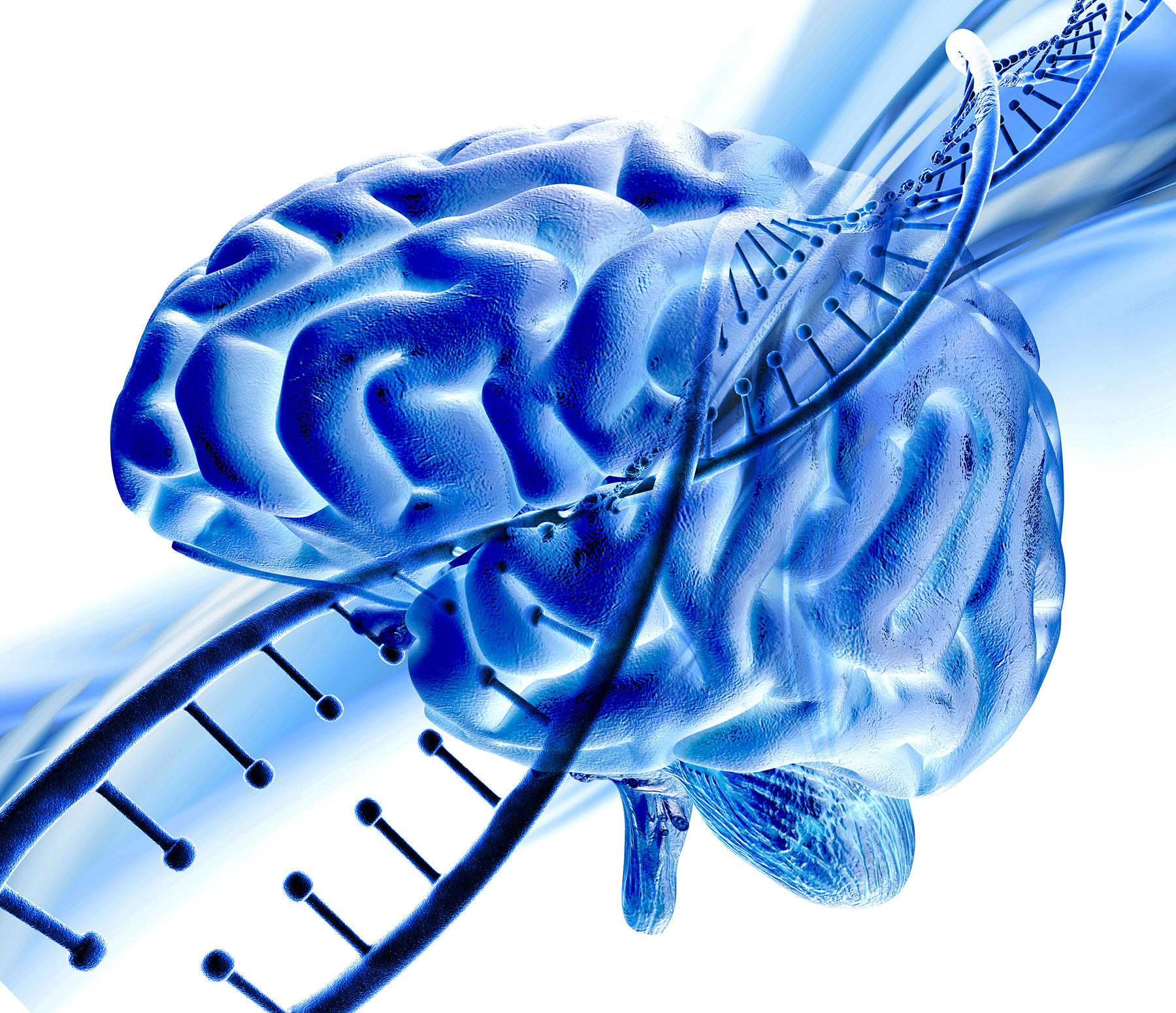 Acidente vascular cerebral: Qual o papel da fisioterapia?
